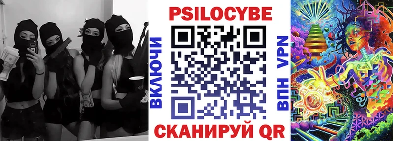 наркота  Стародуб  Псилоцибиновые грибы мицелий 